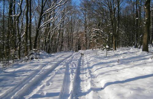 Ferienwohnungen Schimsheimer Rhode - Photo 13