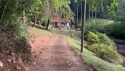 Schwarzwaldhütte am Bach mit Sauna - Foto 3