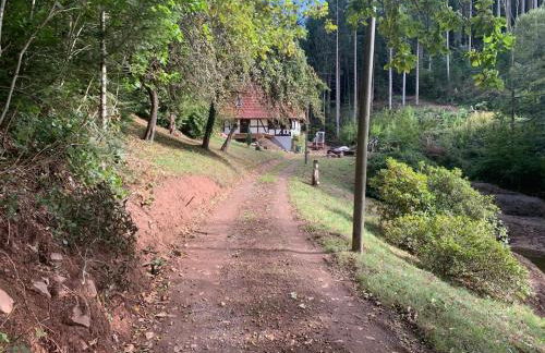 Schwarzwaldhütte am Bach mit Sauna - Foto 3
