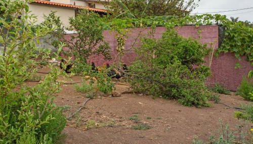 Paraiso Madeira - Suites - Foto 2