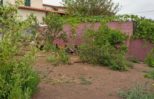 Paraiso Madeira - Suites - Foto 2