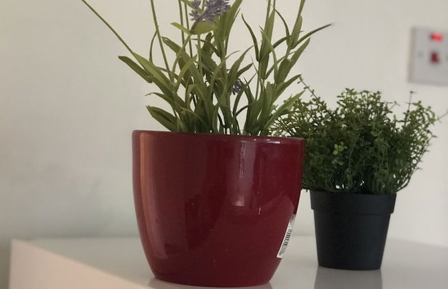 2 bedroom Apartment Heathrow Airport - Foto 18