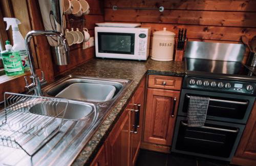 Bothy Cabin -Log cabin in wales - with hot tub - Foto 11