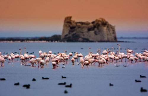 Apartament Dertosa - Foto 40