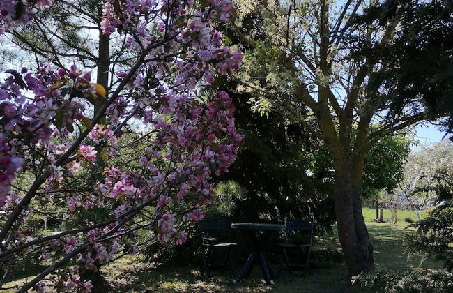 Rural tourism homestead JOLE - Photo 33