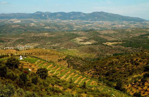 Casa Dos Lagares De Vara E Pedra - Foto 14