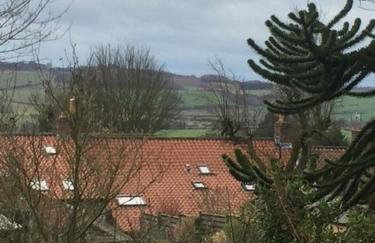 Bulldog Cottage - Photo 10