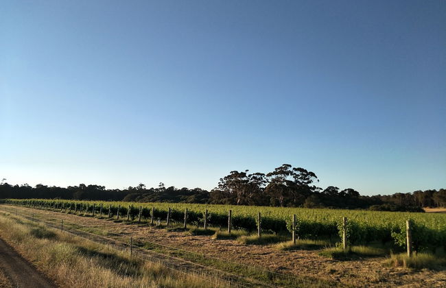 Adinfern Estate - Foto 6