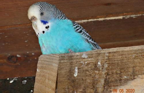 Agriturismo Fieri - Foto 39