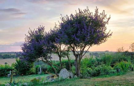 Maison Gasconne, 6 chambres, piscine 14x5, vue sur les vignobles - Photo 34