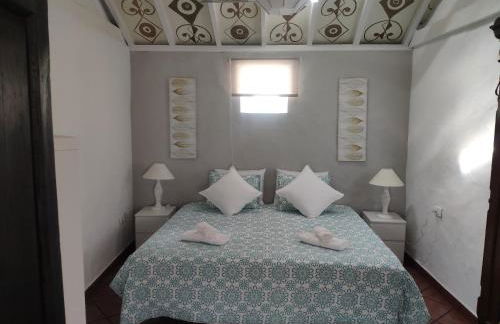 Finca Lomo Grande - Foto 24