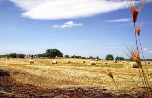 Casa Magnolia - Foto 59