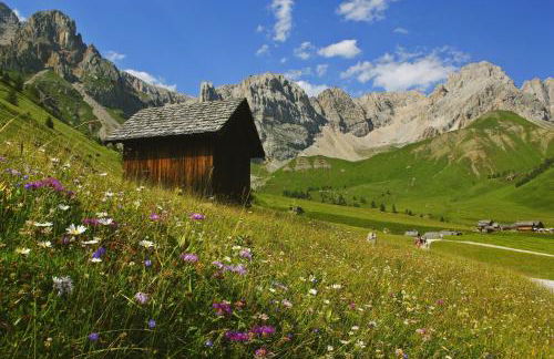 Appartamenti Césa Col De Pin - Foto 35