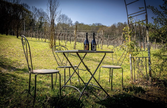 Villa Clementina, Prosecco Country Hotel - Photo 77