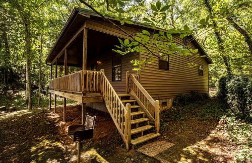 Family-Friendly Cabin Rental with River Views near Knoxville - Foto 44