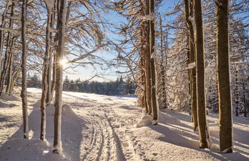 Landhaus Lerchenweg FeWo inkl aktivCARD - Foto 24