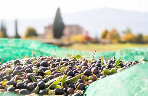 San Carlo a La Molinella - Photo 50