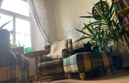 Storchenblick - Foto 12