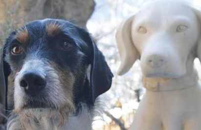 Il Castello di Darany - Photo 47