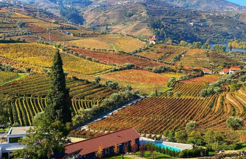 Quinta da Salada - Turismo Rural - Foto 32