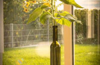 Ferienwohnen im Ziegelfeld - Foto 31