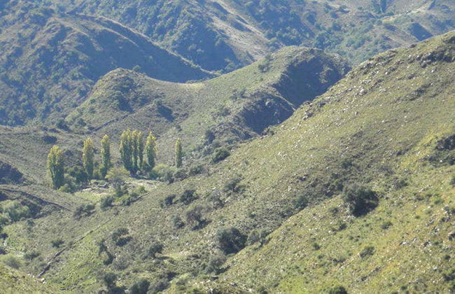 Excursión a Río Grande y Nogolí - Foto 1