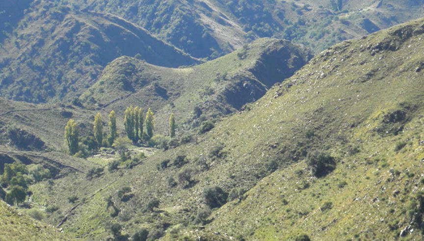 Excursión a Río Grande y Nogolí