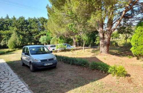 Lemontree Apartments - Foto 49