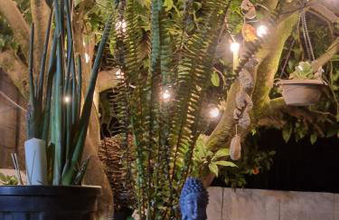 A Casa da Lúa - Photo 13