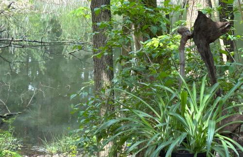 Bungalow Biberspur - Foto 32