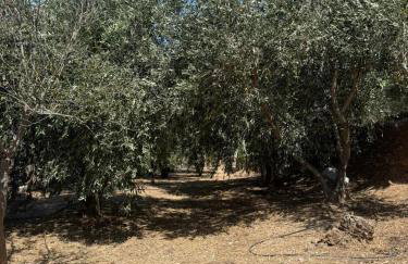 Varvayanni Villa - Foto 47