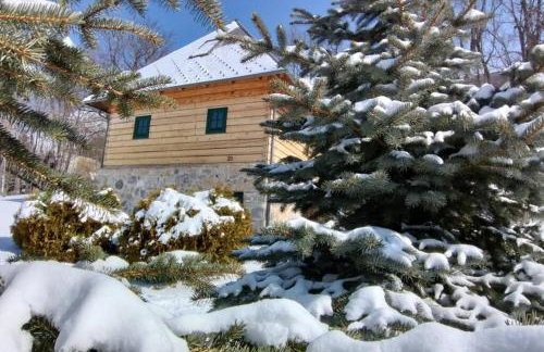 Villa Bornstein - Photo 30