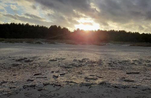 Wooden House Near Baltic Sea Beaches - Photo 96