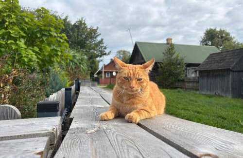 dla mnie się podoba - Foto 65