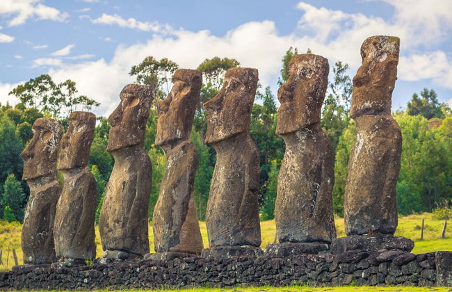 Excursion à Ahu Akivi - Photo 1