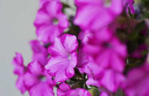 Agriturismo la Concezione - Foto 14