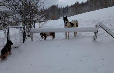 Apartament Buczyna - Foto 10