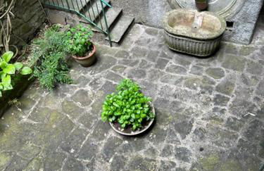 Casa Blanche - Photo 31