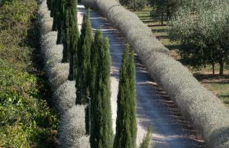 Locanda Rossa - Foto 8