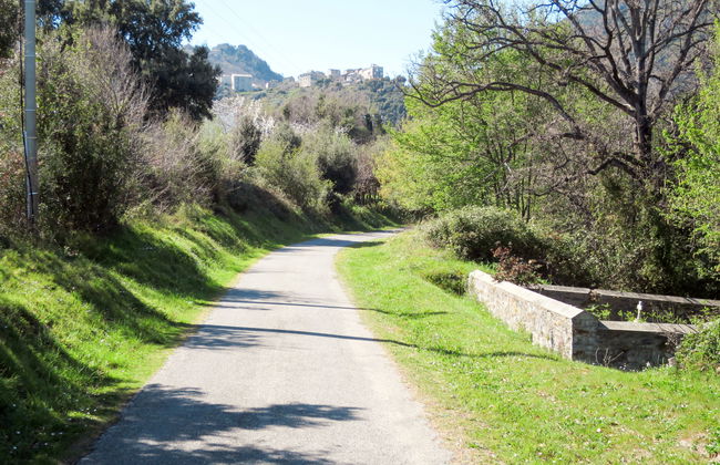 Maison Gerard - Photo 40