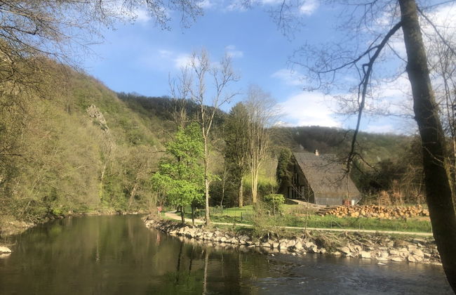 Stone House in Hamoir With Private Pool - Foto 37