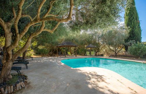 L’oliveraie Écuries Mas di Gau - Foto 1