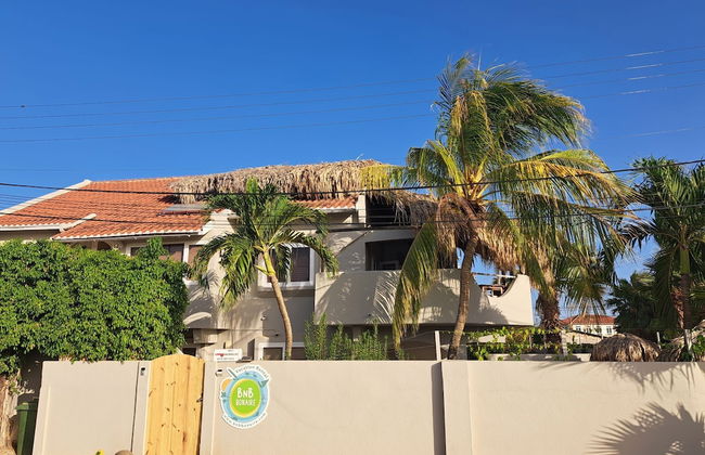 BnBBonaire - Foto 71