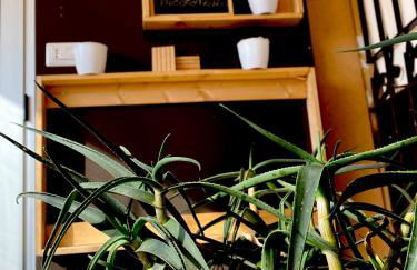 Casa Incoronata - Foto 10