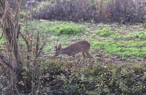 Le Repaire des Grands Moments - Foto 32