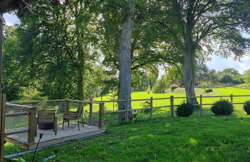 Le terrier aux merveilles - Foto 6