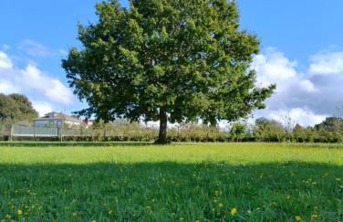 Casa Bartulo - Foto 33