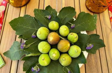 STAZZU LU CHISSONI - Foto 36