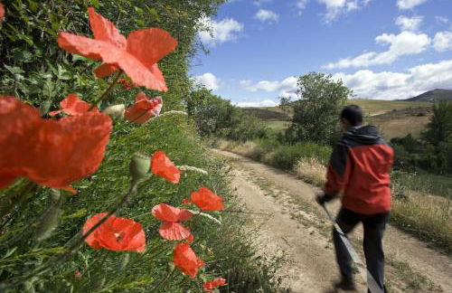 Solar de Rabal - Foto 74