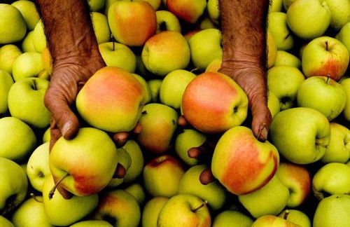 Agriturismo La Canonica - Photo 52